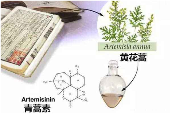 星空手机官网（上海）有限公司,：向中医药看齐，与世界共享中医药文化(图1)